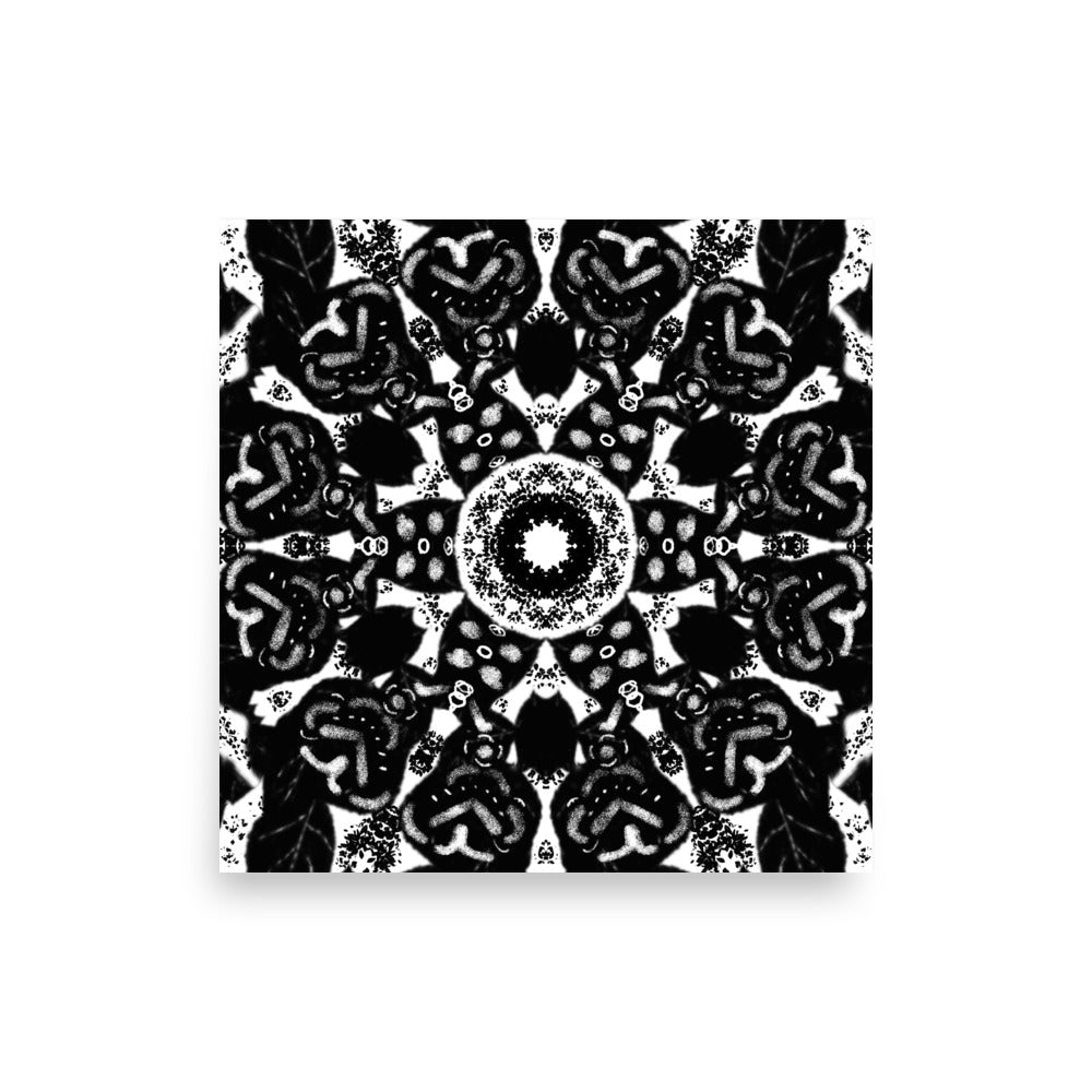 Iris - Art Print