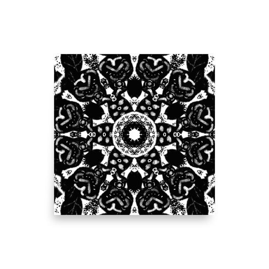 Iris - Art Print
